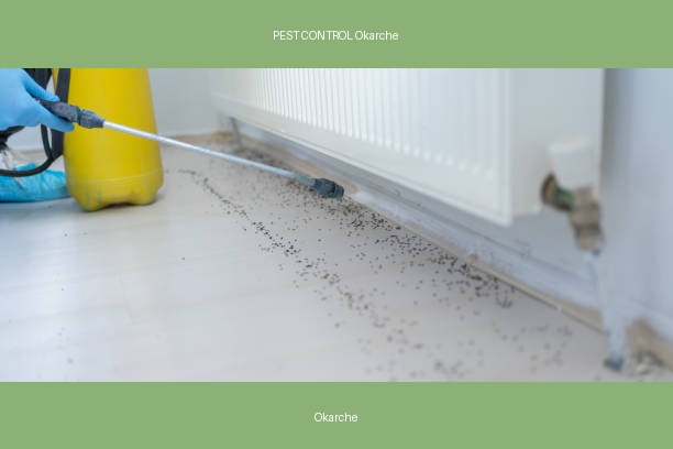 PEST CONTROL Okarche